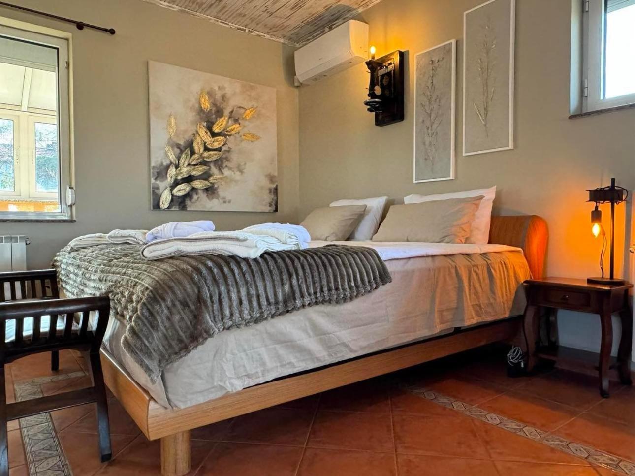 Villa Boyana City & Relax Sofia Ngoại thất bức ảnh
